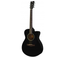 FS100C (Black), зображення 1
